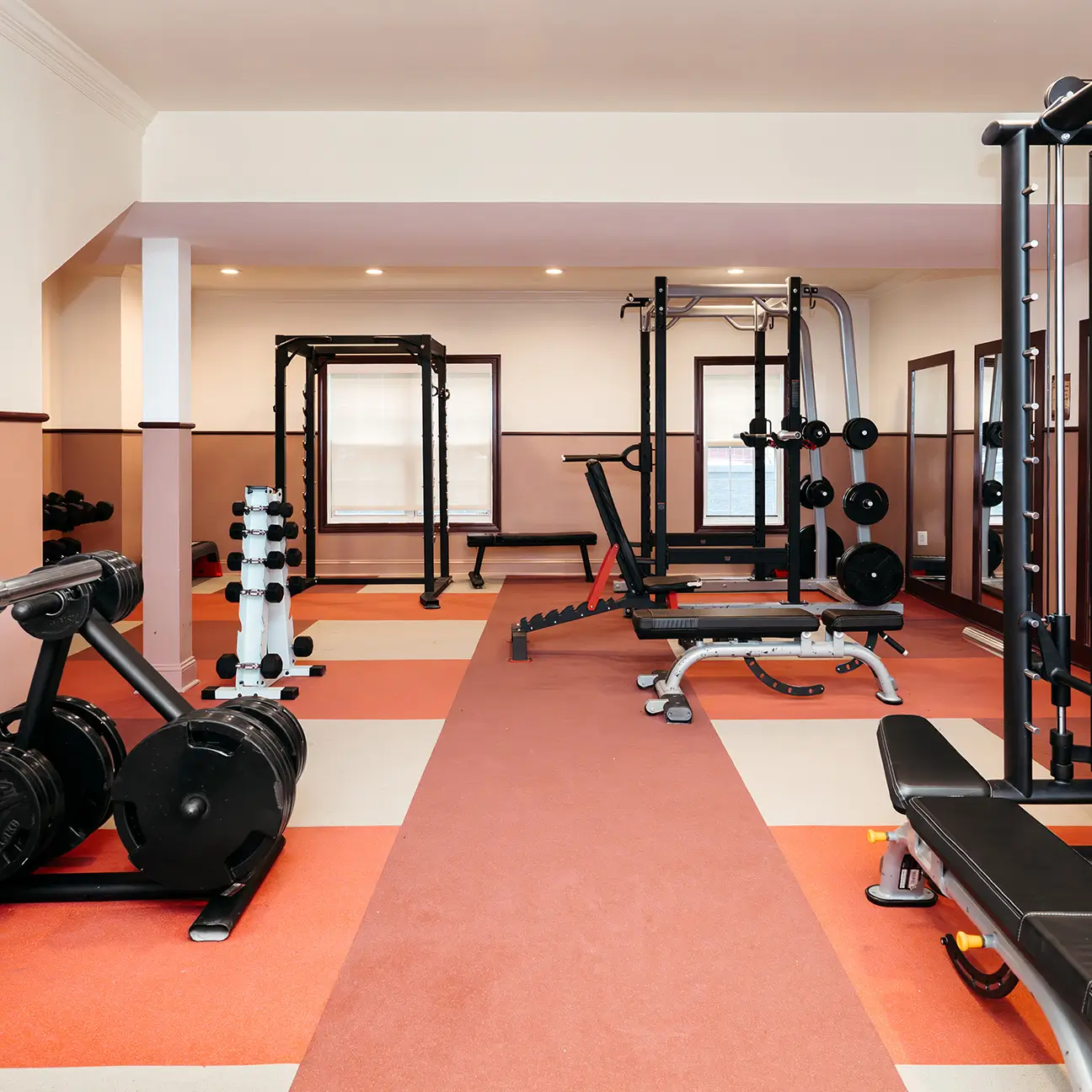 Fitness center with a squat rack, dumbbells, and coral flooring