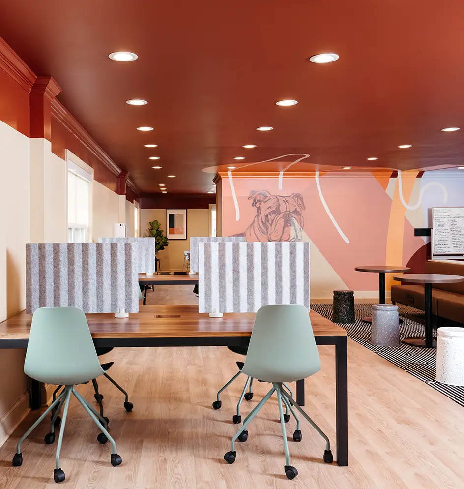 Study area with desks, blue chairs, and a pink accent wall